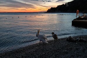 Ein Kiesstrand mit Sonnenuntergang im Hintergrund.