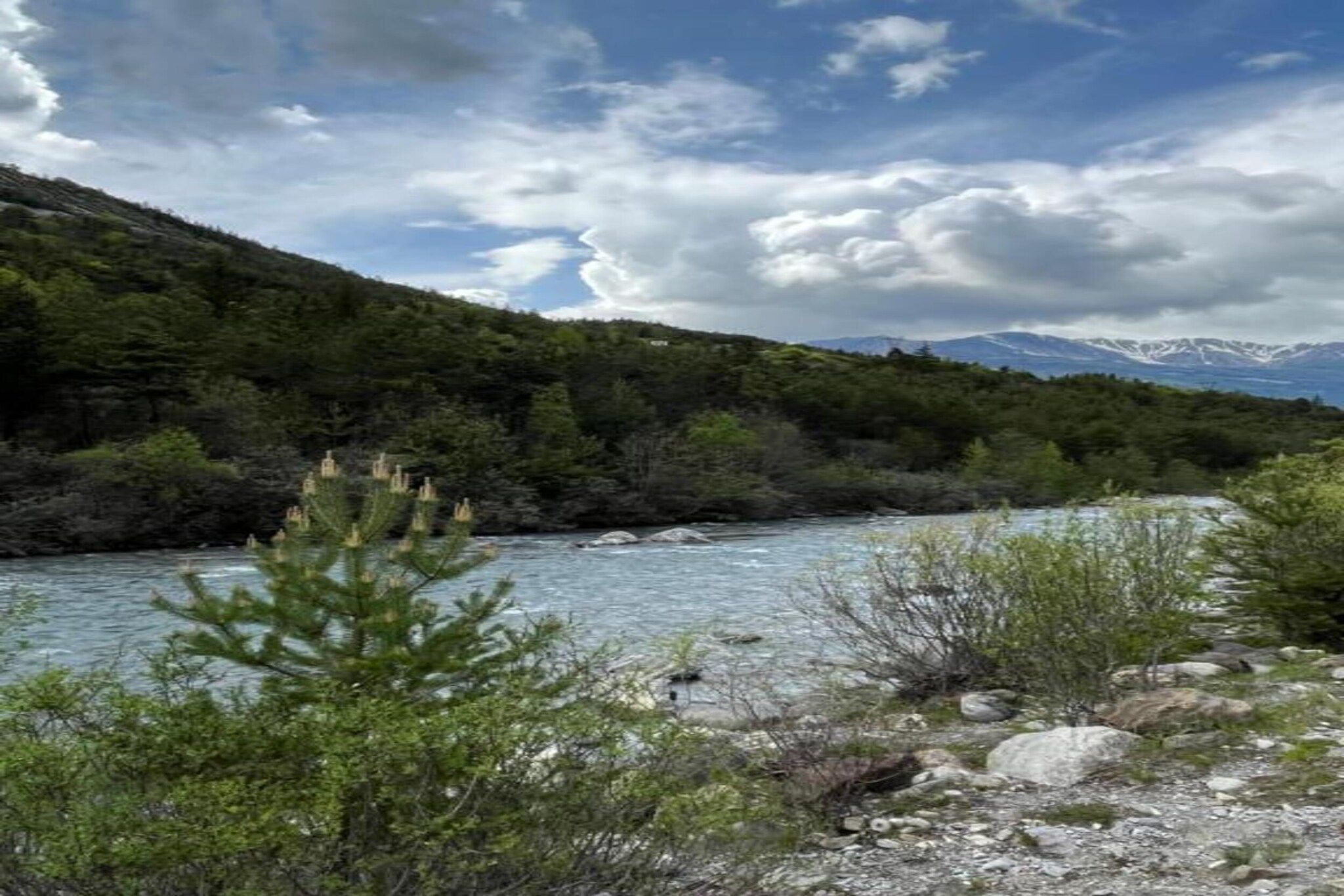 A river flowing through a mountainous landscape with dense forest on the banks.