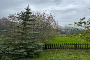 A natural landscape with a coniferous tree, a wooden fence, and a grassy area.