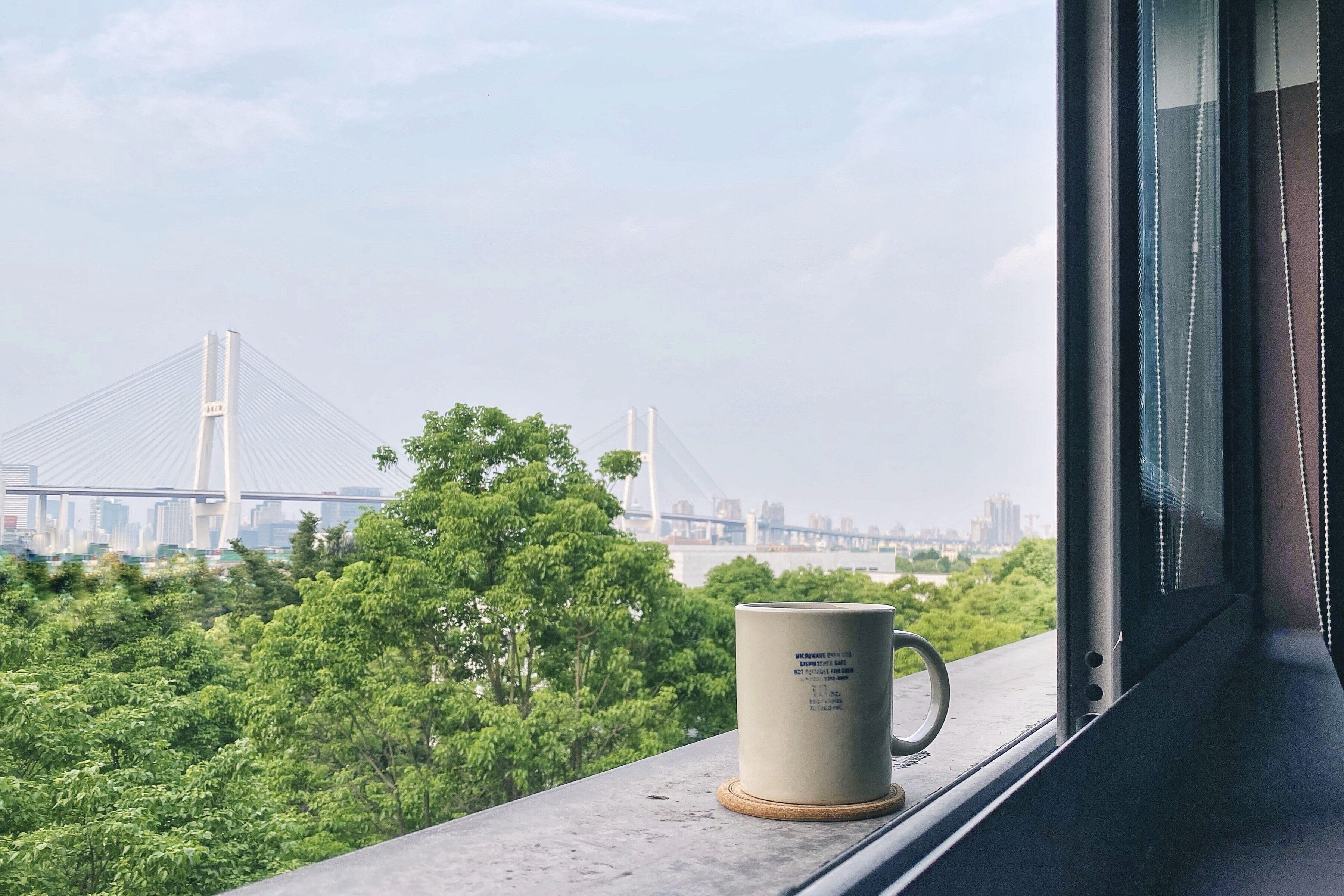 classic deluxe room | view from room