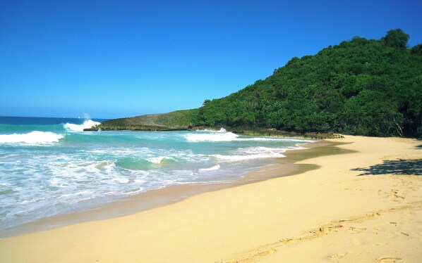 Una playa cerca