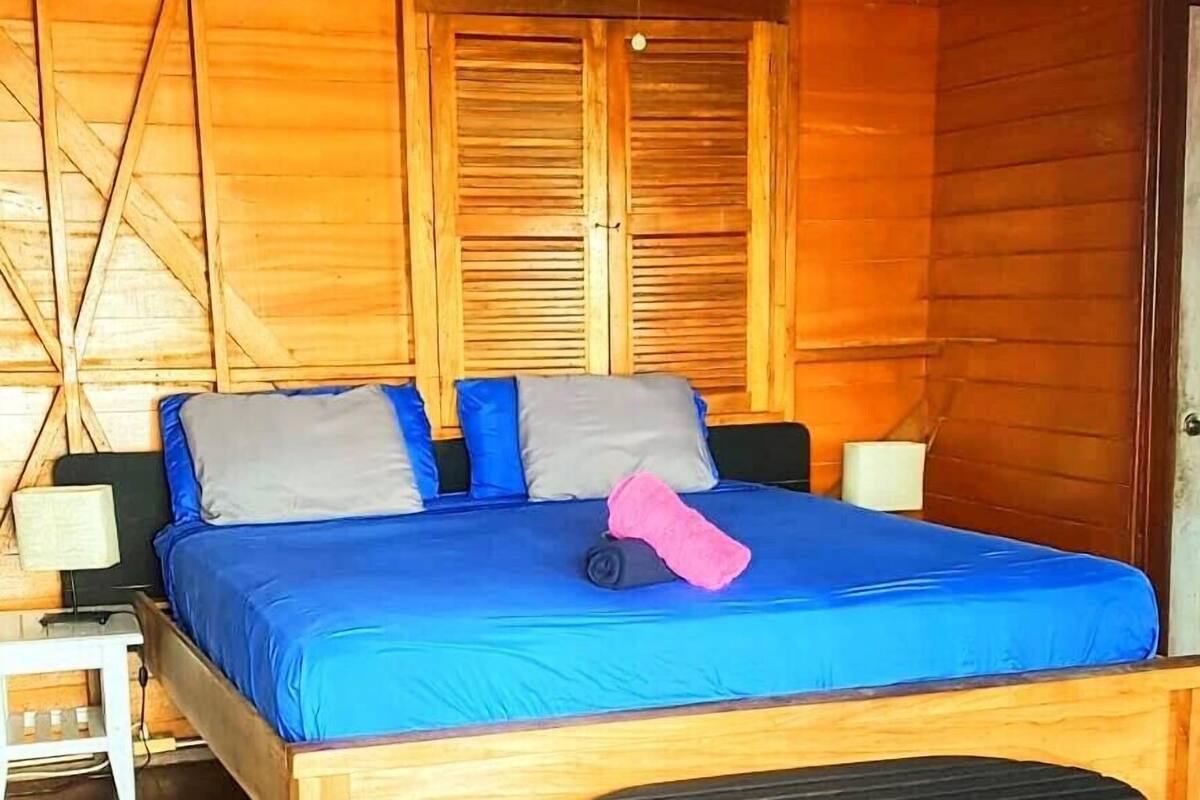 Décoration personnalisée, ameublement personnalisé, rideaux occultants