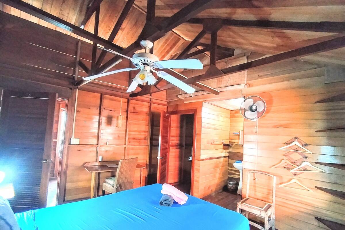 Décoration personnalisée, ameublement personnalisé, rideaux occultants