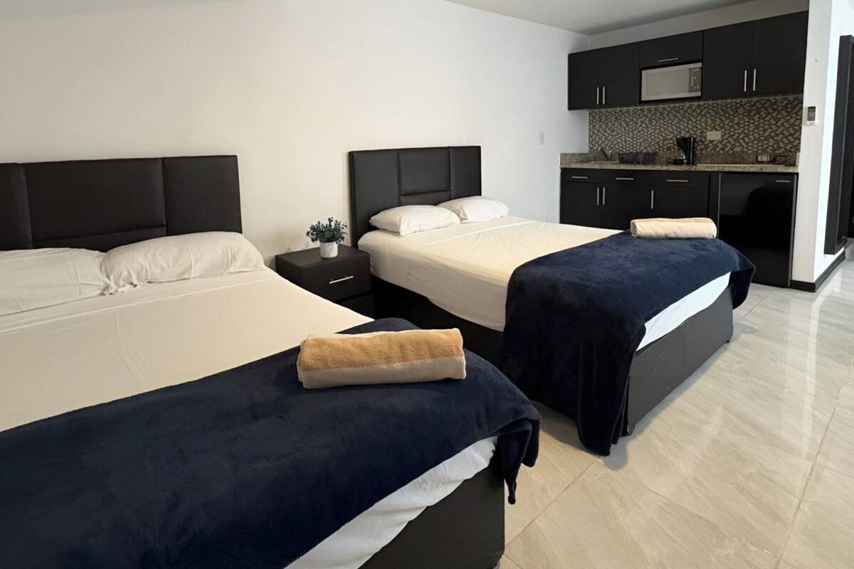 Habitación de hotel con dos camas, una mesita de noche con una planta y una kitchenette con armarios oscuros y un microondas.