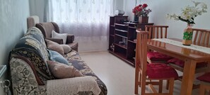 Smart TV, DVD player, video library, stereo