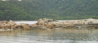 Repos et confort sur la plage - Gonzaguinha