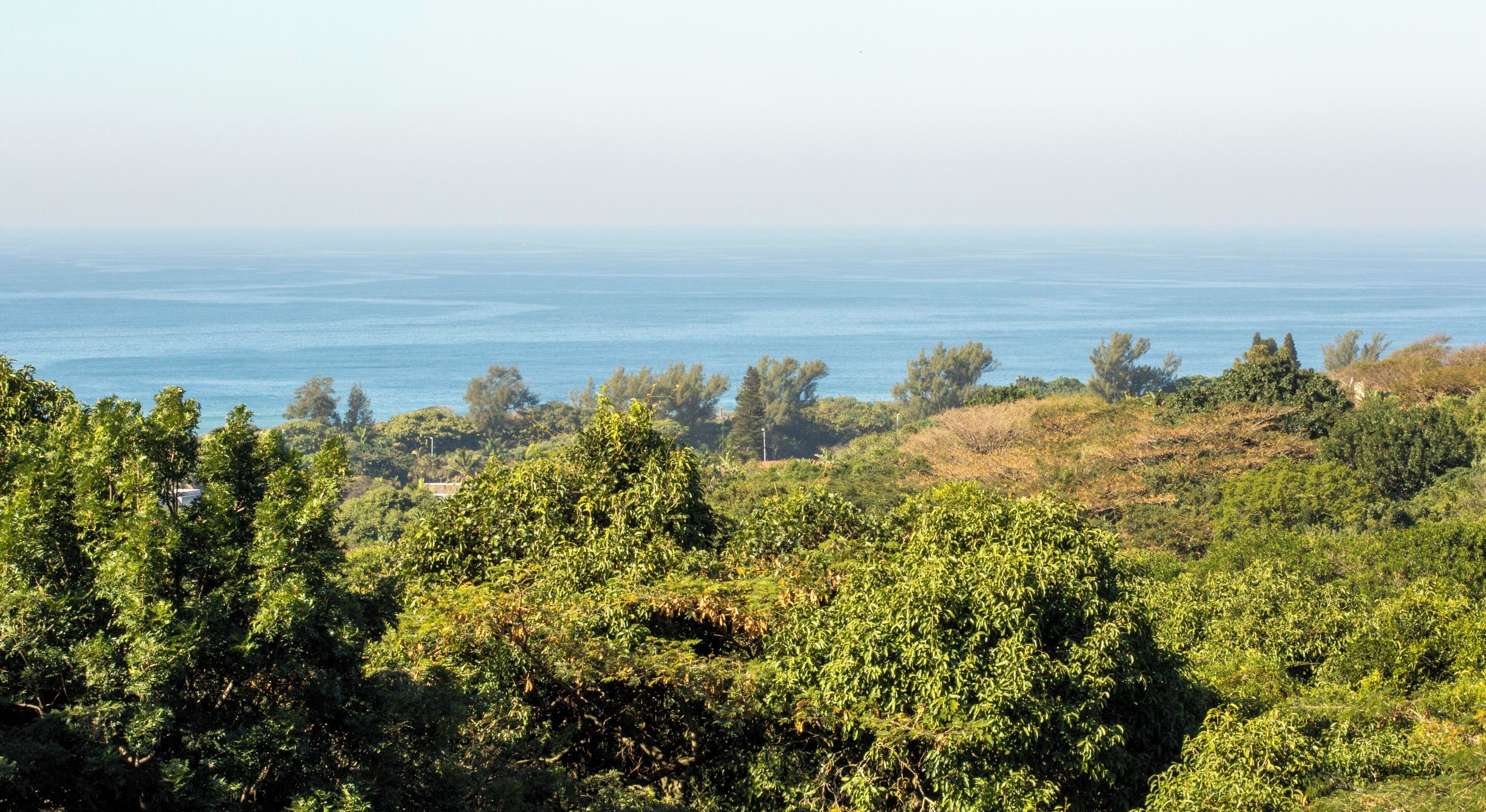 A coastal landscape with dense greenery and a view of the sea.