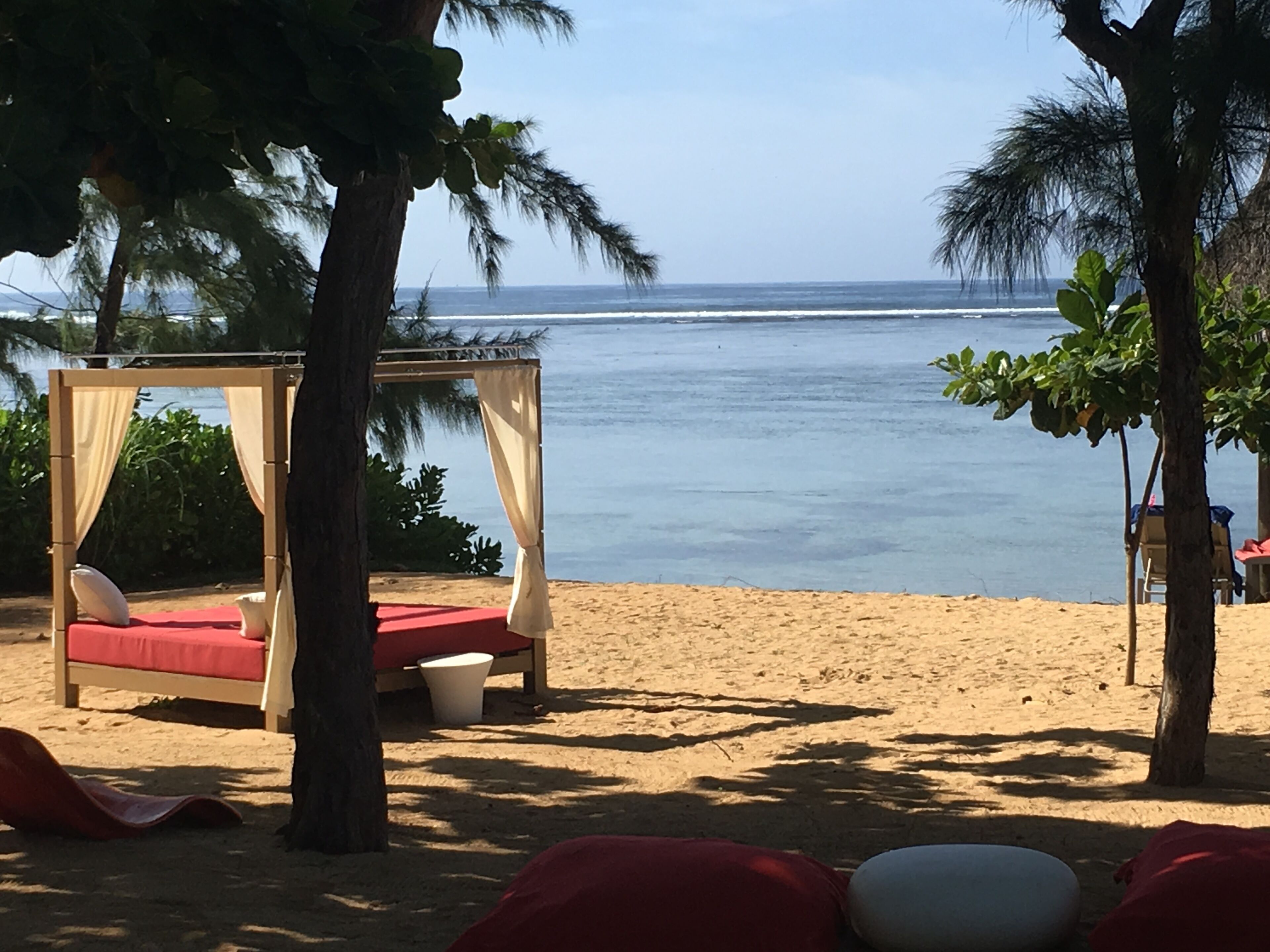 A beach with a canopy bed, palm trees, and a view of the ocean.