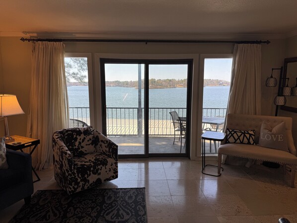 スマートテレビ、暖炉、DVD プレーヤー、書庫