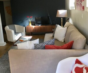 TV connectée, lecteur de DVD, livres, vidéothèque