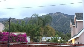 A residential area with houses, a mountain range, and a pink flowering plant.