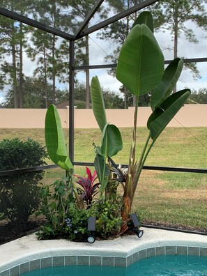 Jardines del alojamiento