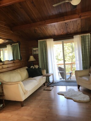 スマートテレビ、DVD プレーヤー、書庫、ビデオライブラリ