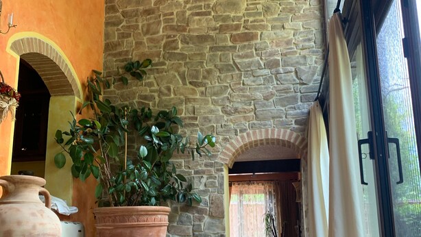 A stone-walled corridor with a tiled floor, a large potted plant, and a rustic doorway. - Tuscan rustic villa with pool, wifi, outdoor jacuzzi, (Pieve al Toppo)