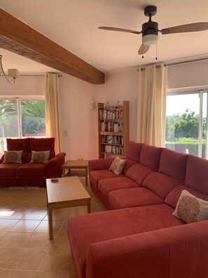 Una televisión, una mesa de tenis de mesa, libros