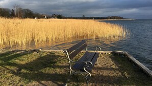 A bench by a lake with reeds and a cloudy sky. - The TROLLHUS is located in a small street on the edge of the Darss primeval forest (Born am Darß)