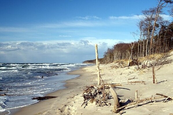 Ranta lähistöllä, aurinkotuoleja