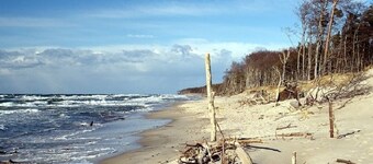 Au bord de la jungle Darsser se trouve le Trollhus dans une petite rue 