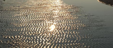 Una spiaggia nelle vicinanze, lettini da mare