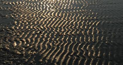 Am Rand des Darsser Urwaldes liegt in einer kleinen Strasse das TROLLHUS