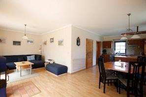 TV, fireplace, DVD player, books