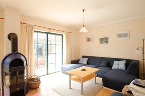 Televisio, takka, DVD-soitin, kirjoja