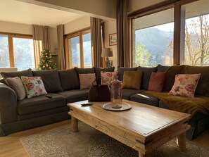 TV, fireplace, DVD player, books