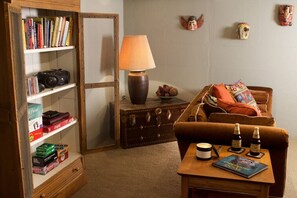 Smart TV, fireplace, books