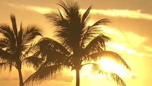 On the beach, sun loungers, beach towels