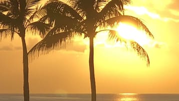 On the beach, sun-loungers, beach towels