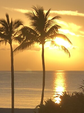 On the beach, sun-loungers, beach towels