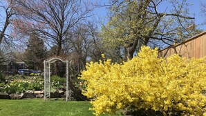 A well-maintained garden with a lawn, a yellow flowering shrub, and a white trellis structure. - The Lily Pad - quaint home in Old Town NOTL, steps from the lake! (Niagara-on-the-Lake)