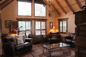 Smart TV, caminetto, lettore DVD, libri