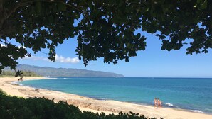 Ein Strand mit klarem, blauem Wasser, einem sandigen Ufer und einer entfernten Bergkette.