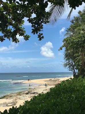 Ein Strand mit blauem Himmel, felsiger Küste und üppiger Vegetation.