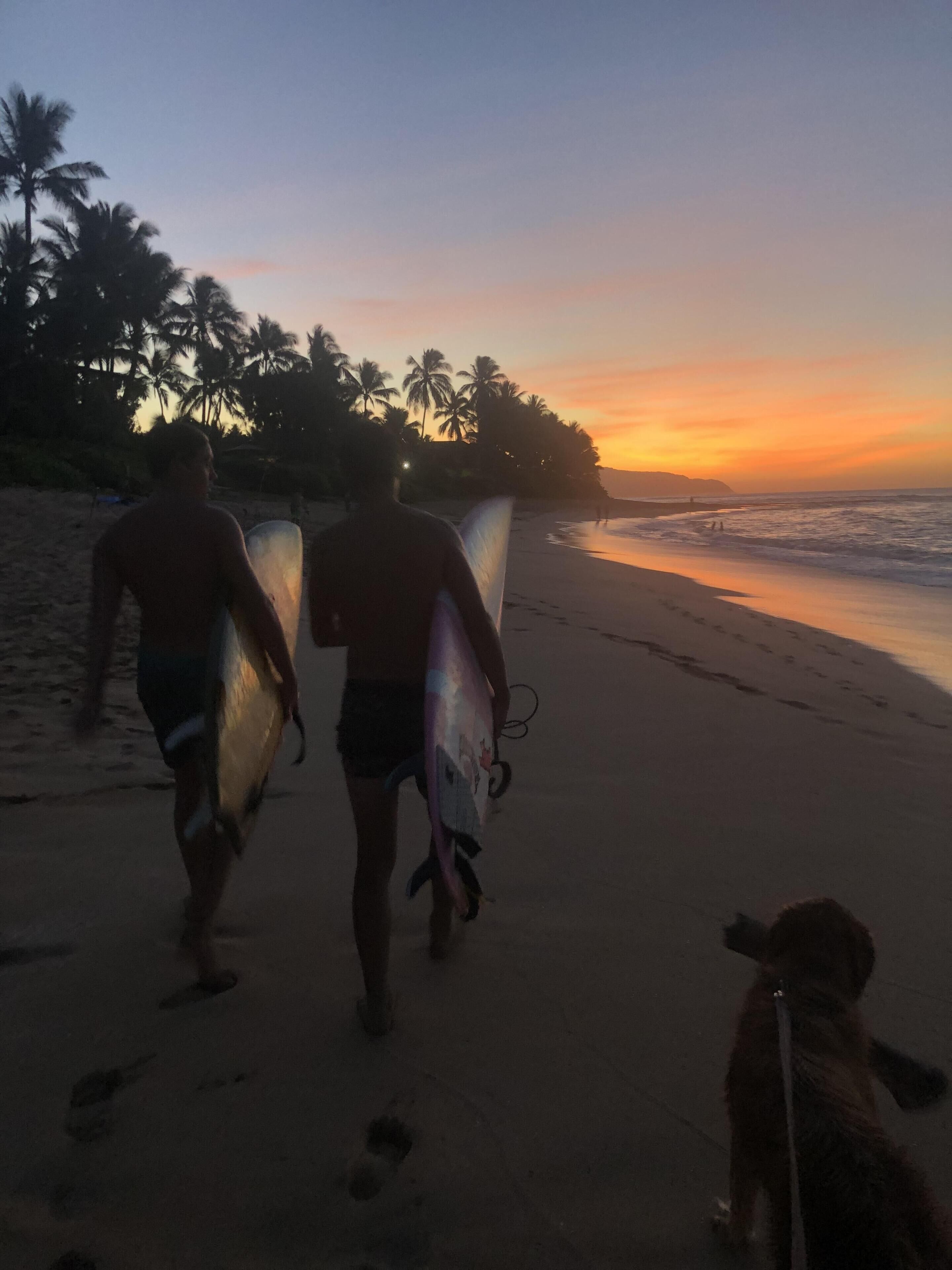 Dos personas caminando por la playa con tablas de surf, un perro con correa y palmeras al fondo.