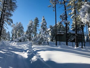 Property grounds - Quiet, Private,Treehouse Feel. Cozy up at Emma’s Loft in beautiful Strawberry Az (Strawberry)