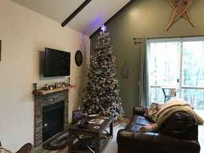 Smart TV, fireplace, books