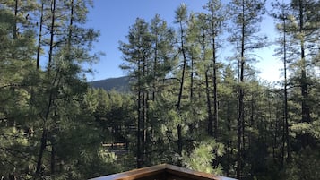 Terrain de l’hébergement