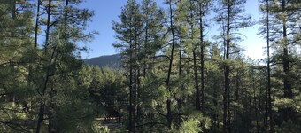 Quiet, Private,Treehouse Feel. Cozy up at Emma’s Loft in beautiful Strawberry Az