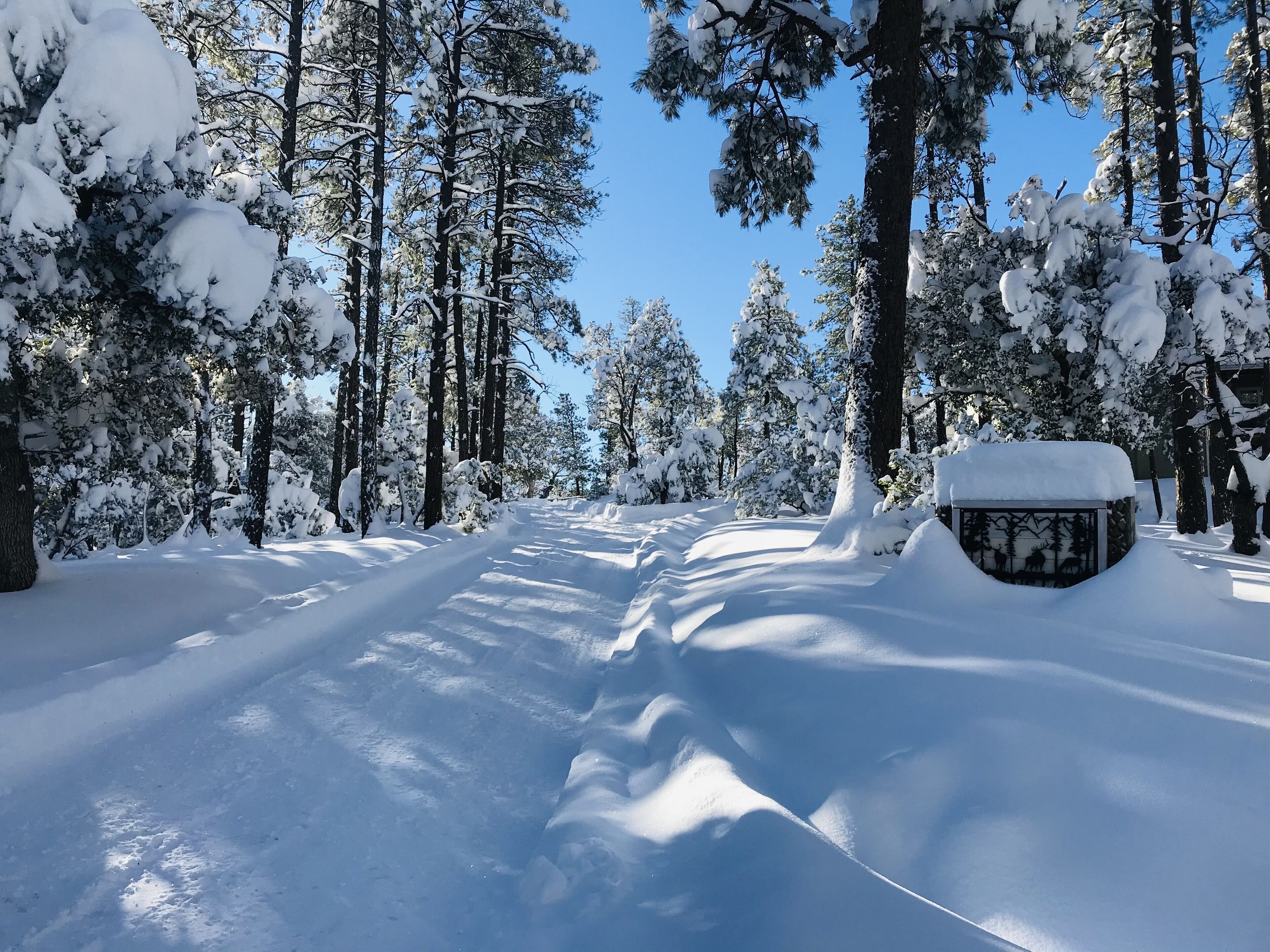 Terrain de l’hébergement 
