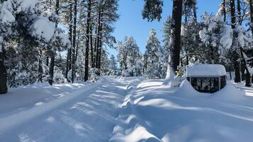 Terrain de l’hébergement