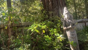 Une statue se trouve dans une zone boisée, à proximité d’un grand tronc d’arbre.