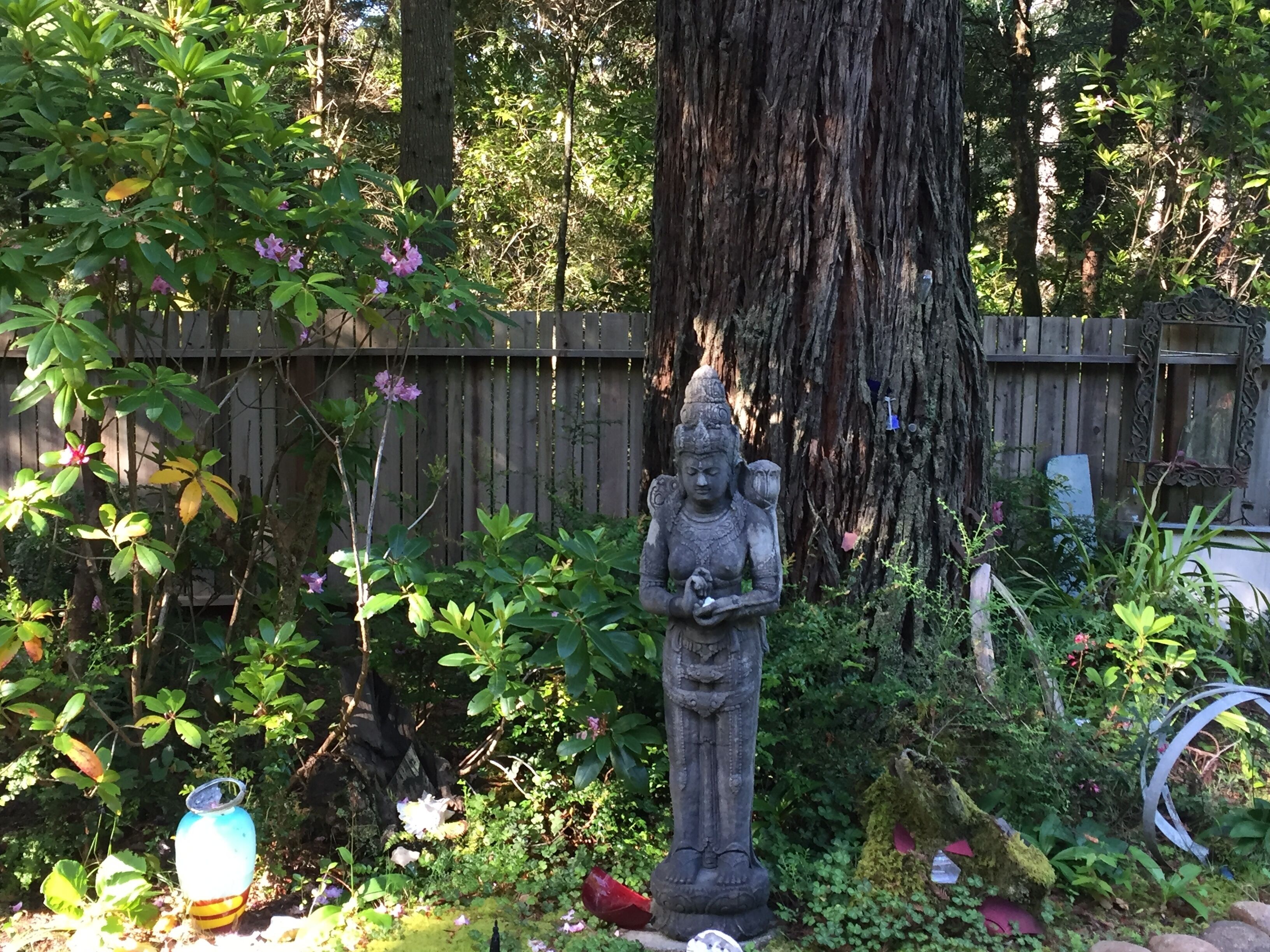 Sanctuary Corazon, Echo Garden Cottage, minutes from the beautiful Pacific Ocean