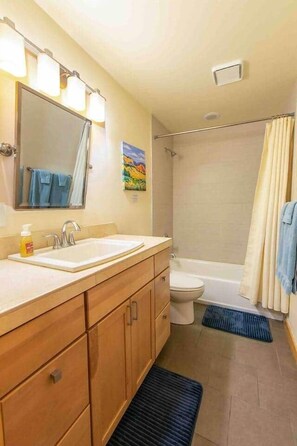 Bañera con ducha, secador de pelo, toallas, jabón