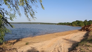 Una playa arenosa con un lago tranquilo, rodeada de árboles y un cielo despejado.