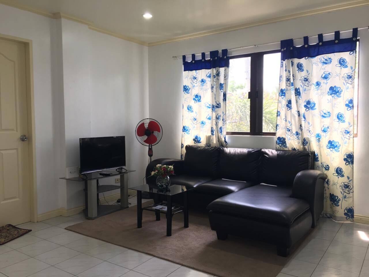 تلفزيون، كُتُب