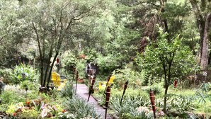 A garden pathway with various plants and a small bridge. - A SLICE OF "OLD FLORIDA" AMONG GRANDFATHER OAKS. (Crystal River)