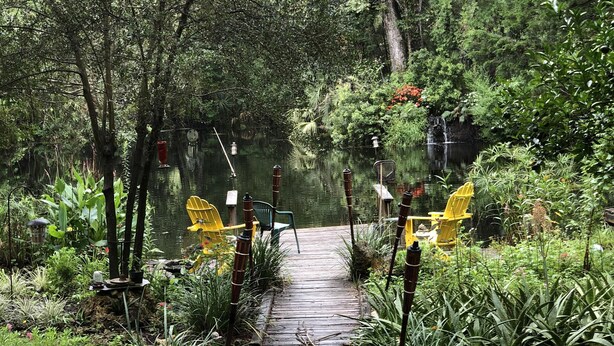 A wooden pathway leading through a lush garden with various plants and trees. - A SLICE OF "OLD FLORIDA" AMONG GRANDFATHER OAKS. (Crystal River)