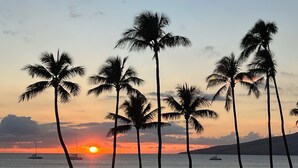 Un atardecer sobre una playa con palmeras y veleros.
